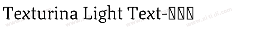 Texturina Light Text字体转换